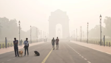Photo of Delhi Air Quality Shows Slight Improvement, AQI at 250