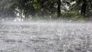 Photo of Low Pressure Over Bay of Bengal to Bring Heavy Rain to Tamil Nadu