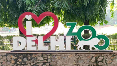 Photo of Delhi Zoo Reopens for Visitors After Avian Flu Precautionary Closure