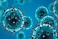 Photo of Death toll from Marburg virus disease outbreak rises to 5