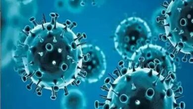 Photo of Death toll from Marburg virus disease outbreak rises to 5
