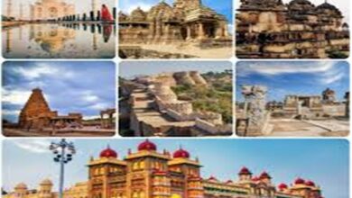 Photo of Online ticket booking launched for over 170 Archaeological monuments