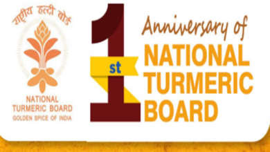 Photo of National Turmeric Board is empowering farmers & promoting turmeric export: Union Minister Piyush Goyal