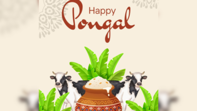 Photo of Festival of harvest Pongal being celebrated by Tamil people across globe