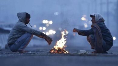 Photo of IMD forecasts cold wave and dense fog across Northern India