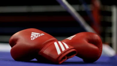 Photo of Indian youth boxing team record strong performances at World Boxing Futures Cup 2026