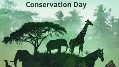 Photo of VP Radhakrishnan Highlights India’s Wildlife Riches on World Wildlife Day