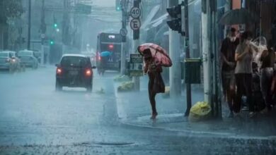 Photo of IMD Issues Orange Alert for Thunderstorms, Gusty Winds in Nagaland, Manipur, Mizoram, Tripura