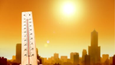 Photo of IMD issues heatwave alert in Keralam amid rising heat and humidity