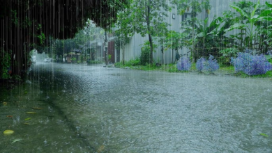 Photo of IMD forecasts light rain and thundershowers in J&K over next two days