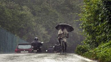 Photo of Meteorological Department Issues Yellow Alert In 6 Districts As Heavy Rain Lashes Keralam