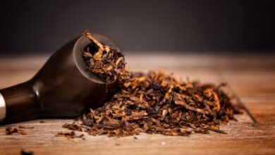 Photo of Nagaland Imposes One-Year Ban On Tobacco And Nicotine-Based Food Products
