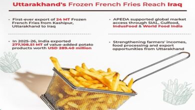 Photo of Uttarakhand Exports First Frozen French Fries Consignment To Iraq