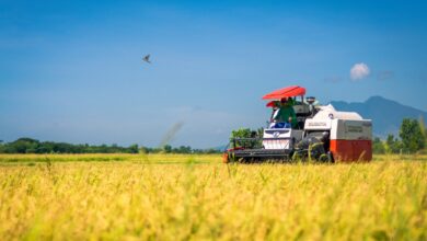 Photo of Govt Supports Distribution Of 22 Lakh Farm Machines Under Sub-Mission On Agricultural Mechanisation