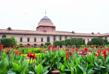 Photo of Summer Annuals Of Amrit Udyan At Rashtrapati Bhavan To Open For Public From August 16