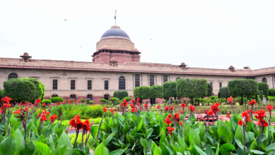 Photo of Summer Annuals Of Amrit Udyan At Rashtrapati Bhavan To Open For Public From August 16