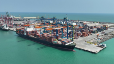 Photo of Government Notifies 11 More International Ports For E-Visa Holders