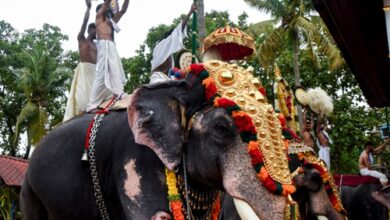 Photo of Keralites Across The Globe Celebrating Thiru Onam, Most Auspicious Day Of Onam