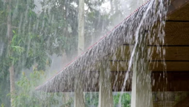 Photo of IMD Forecasts Heavy Rain Across Keralam For The Next Two Days