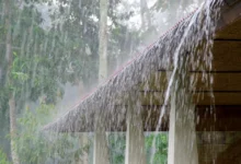 Photo of Maharashtra Receives 92% Of Its Average Rainfall Between June 1 And August 20