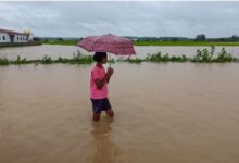 Photo of Chhattisgarh Declares Holiday For All Schools Amid Continuous Rain