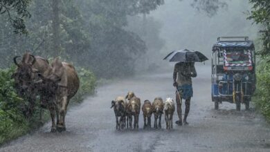 Photo of Yellow Warning Issued In Parts Of North Bengal As Heavy Rain Forecast