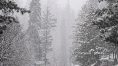 Photo of Jammu And Kashmir Likely To Receive Light Rain And Snowfall In Higher Reaches From Today